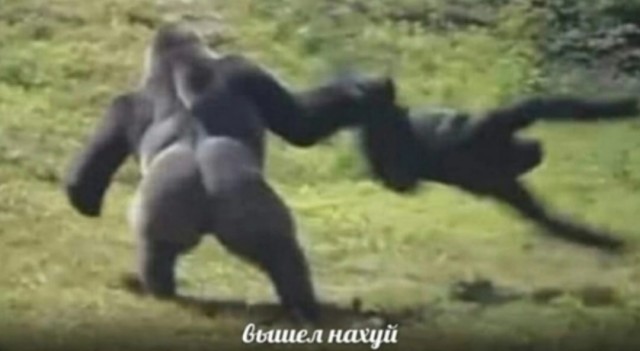 Шведы нагнетают.