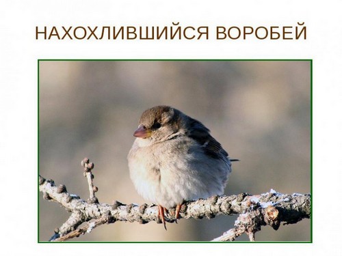 Так были они на Луне, или как?