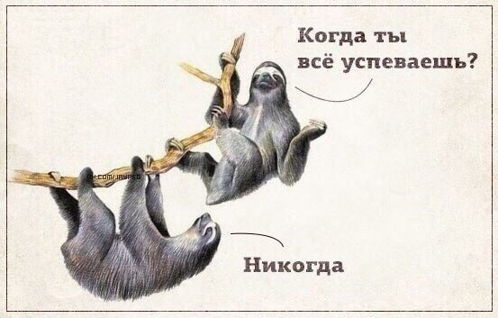 Картинки и мемы, всяко разно - 183