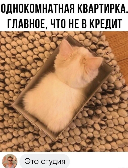 Скупка краденого из сети 06-06-2023