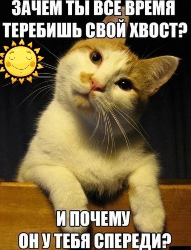 Картинки и мемы, всяко разно - 181