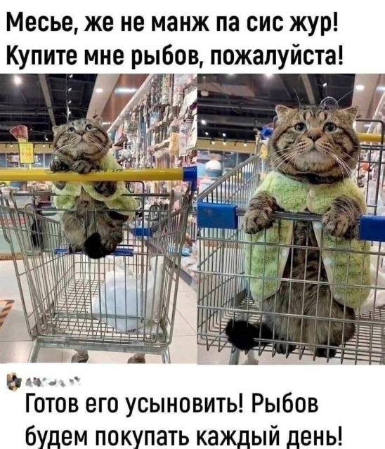 Так себе картинки 17.08.23