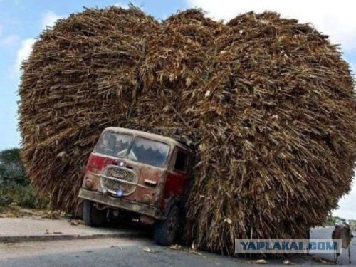 Особенности национальных перевозок в Китае