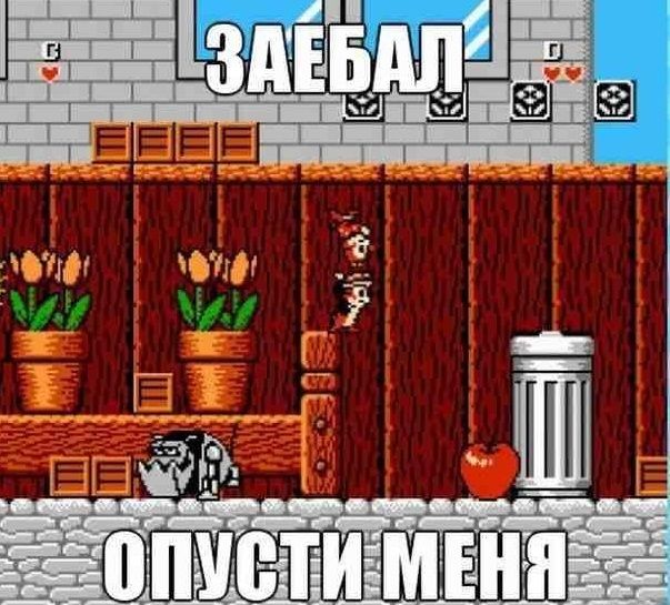 Чип и Дейл: Веселые и ностальгические картинки