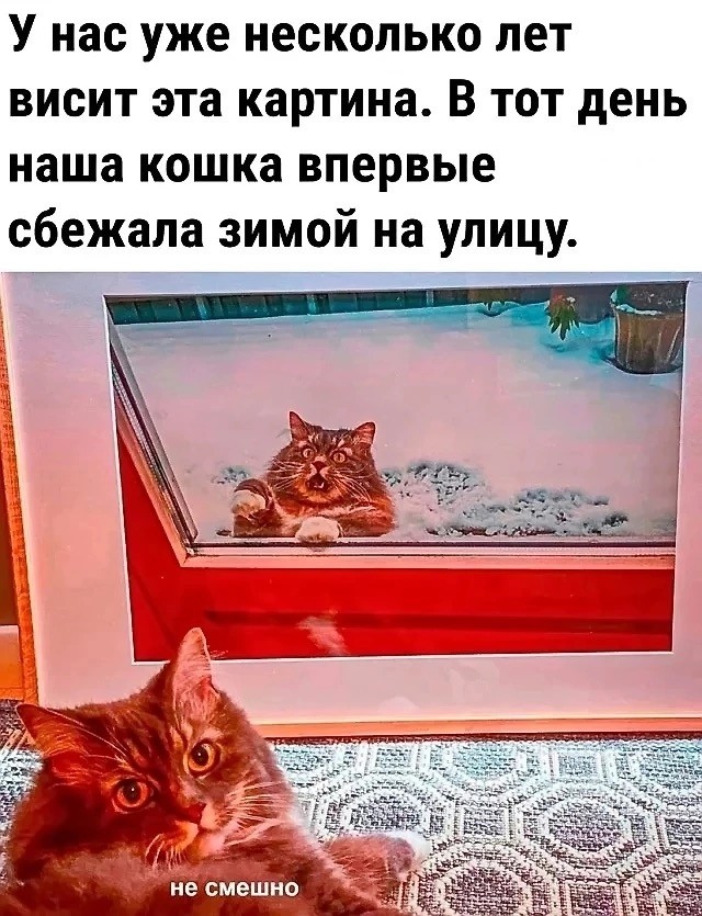 Завалялось тут случайно немного забавных картинок