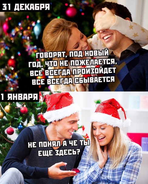 Так себе картинки 31.12.24