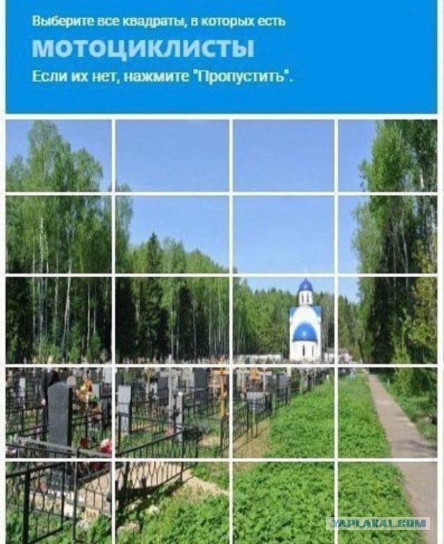 Низко пошёл - к дождю