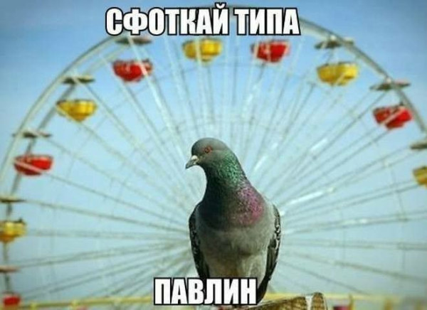 Завалялось тут случайно немного забавных картинок