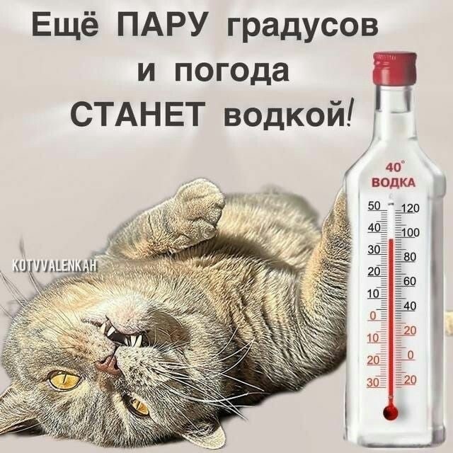 Так себе картинки 07.07.25
