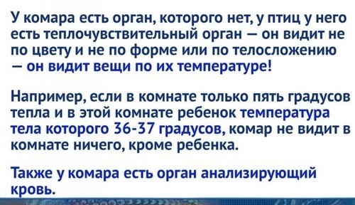 Эффективное средство от комаров обнаружили в Сети — это зажимы в виде стрекоз.