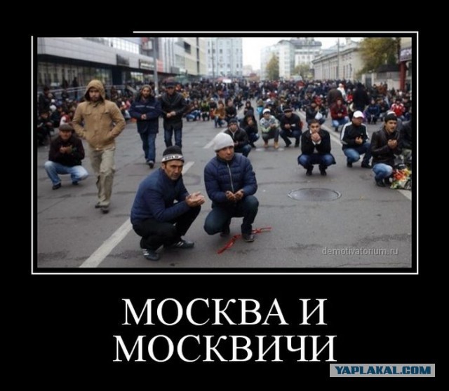 Европейские города с наибольшей долей мигрантов в 2025 году