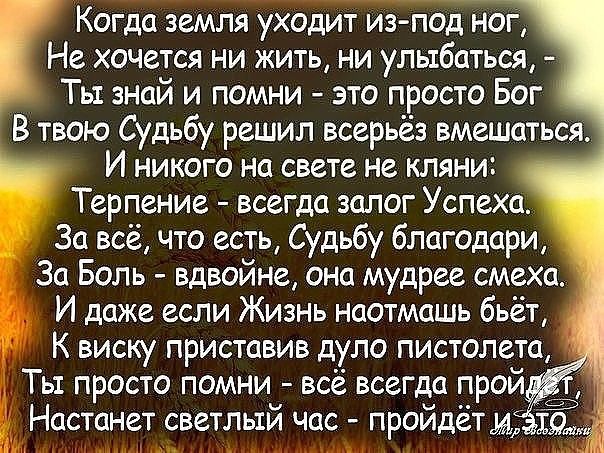 Прикольные и просто красивые картинки 22.08.2025