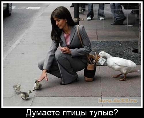 Может кому надо?