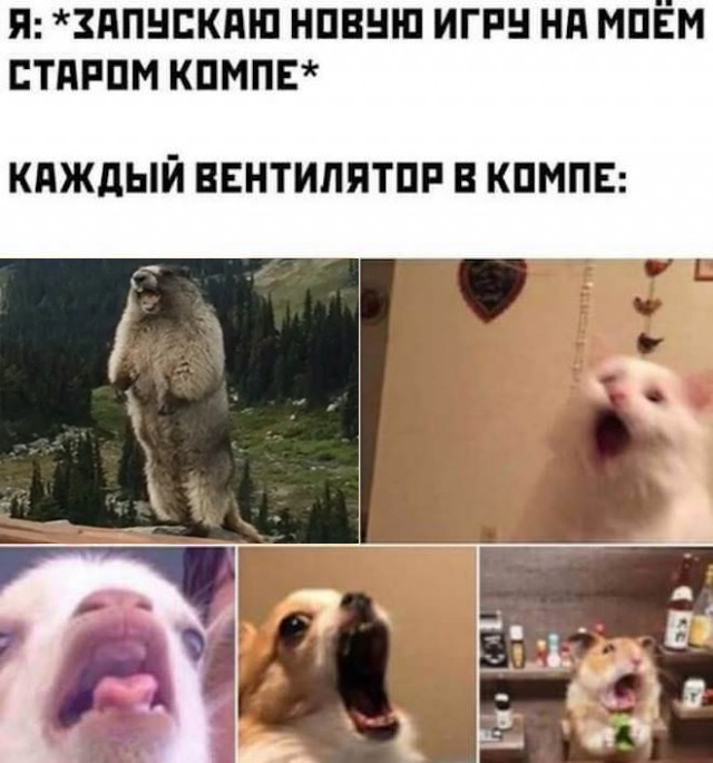 Пошлый и взрослый юмор #7