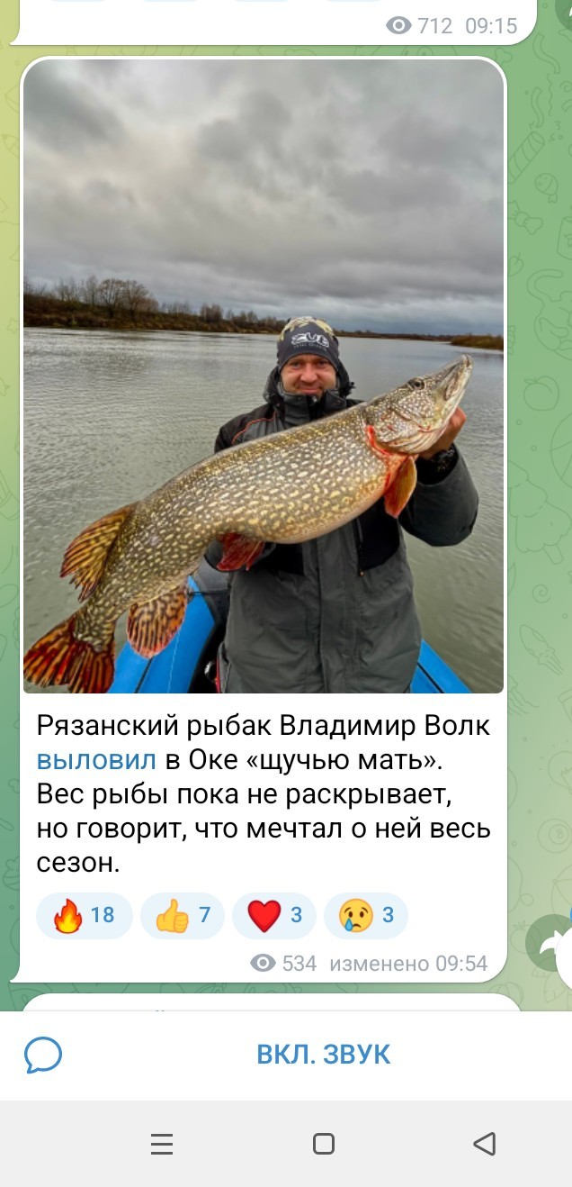 Небольшая поклёвка в последние осенние дни.