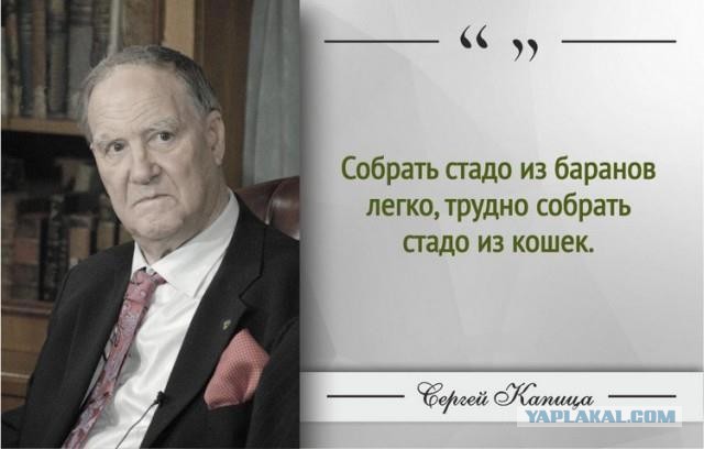 14 февраля - день рождения С.П. Капицы
