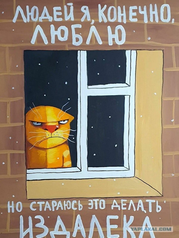 "Я сейчас спущусь — вы ах*еете!"