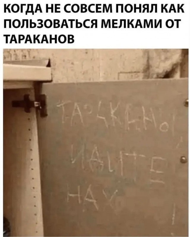 Картинки для деградации 250 (разной степени свежести)