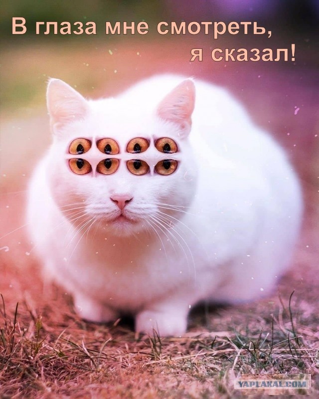 Наша Таня громко плачет. Лента стихотворений