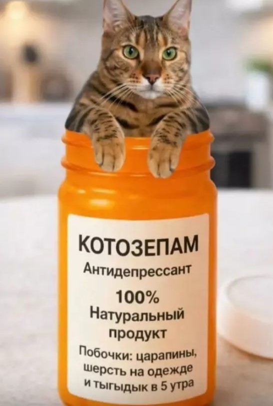 К котовторнику: подборка картинок-баянов с котиками и про котиков. Выпуск 43.