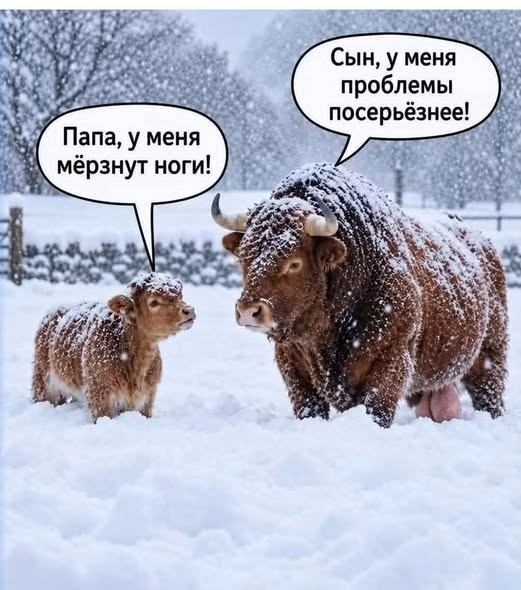 Картинки на среду