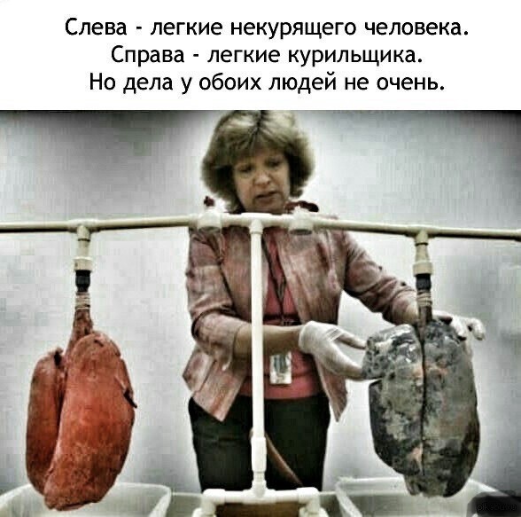 Курение. Соседи против.