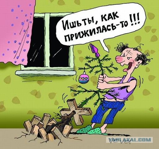 Деревенская Америка