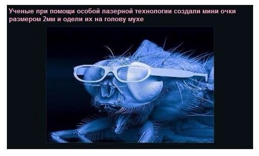 Легкой наркомании пост