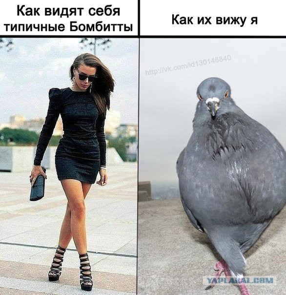 Ожидания VS Реальность