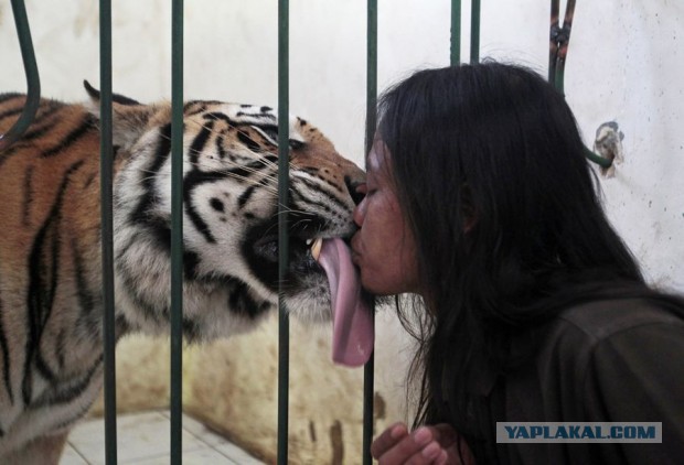 О том, как у меня не встал