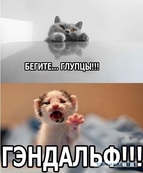 Картинки для хорошего настроения