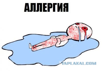 Новый мем