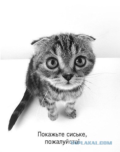 Красивая!