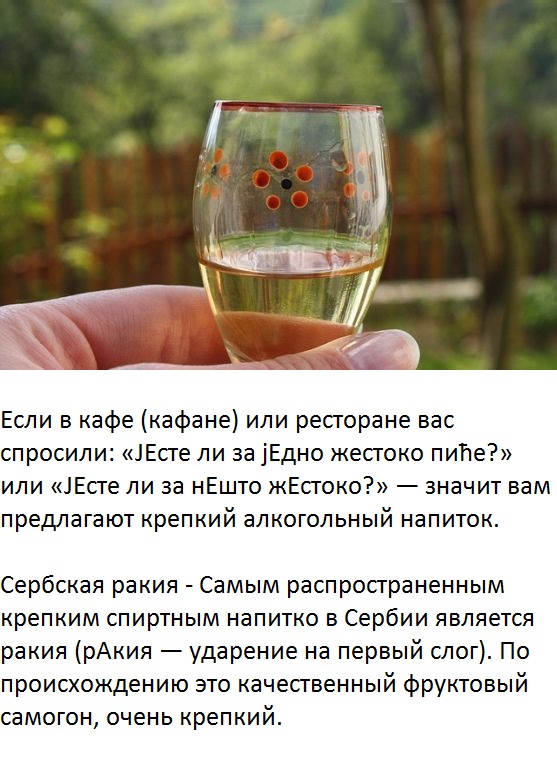 Что кушают и пьют в Сербии