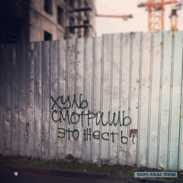 Жемчужина Казахстана! Almaty Tapok Edition