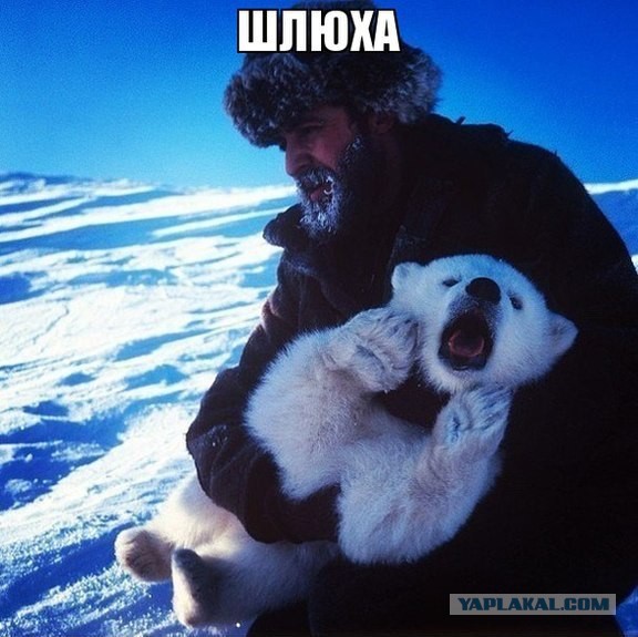 Смешные комментарии