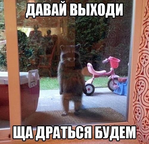 Весёлое из сети