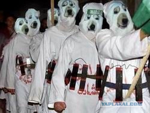 10 клипов которые взрывают мир.