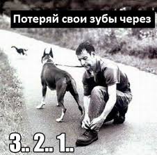Вторничные картинки