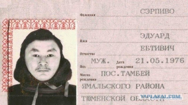 Весело приходится жить людям