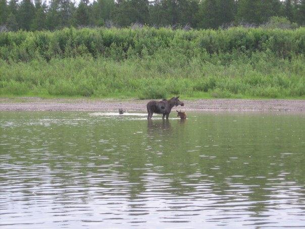 Поход по реке Колыма на самодельном плоту