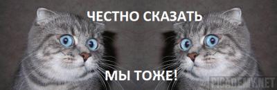 Гаити. 20 дней в аду