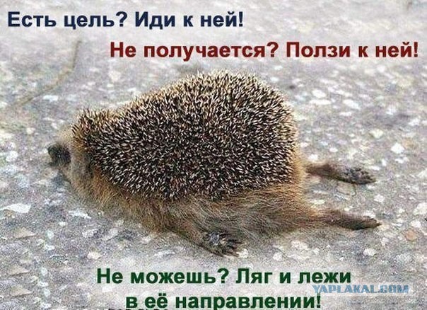 Весёлые картинки