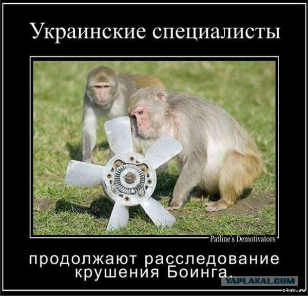 Подборка демотиваторов на пятницу