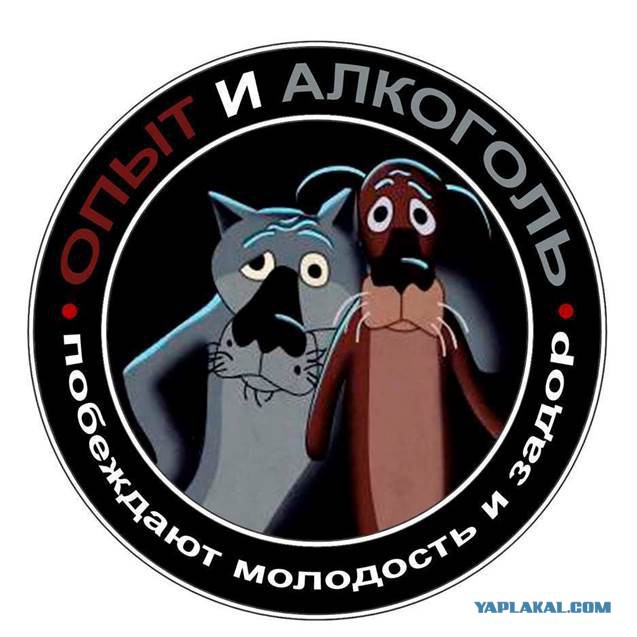 Веселые картинки