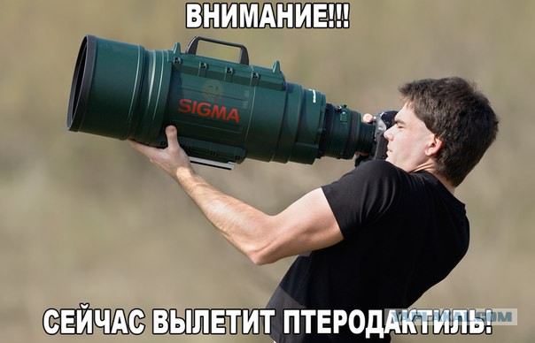 15 картинок с тЫрнета