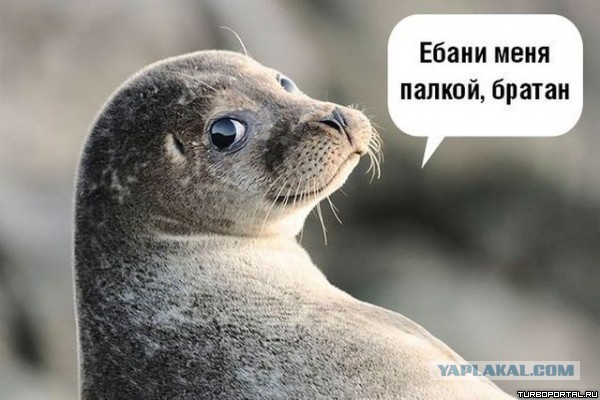 Истории от врачей -59