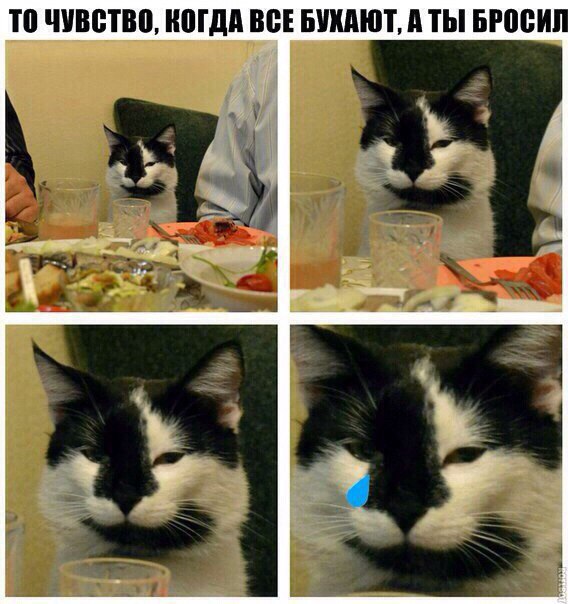 Картинки и демотиваторы
