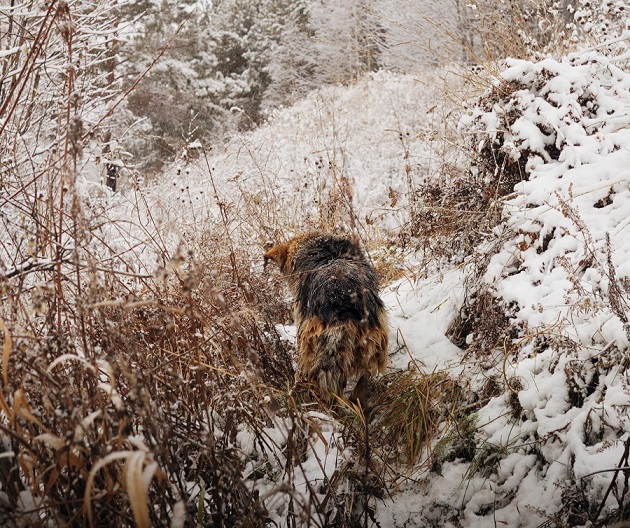 История одного спасения