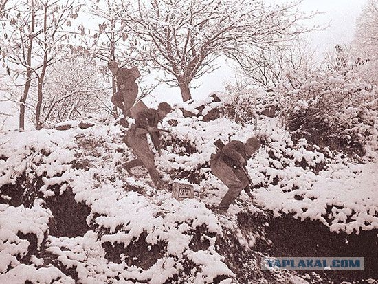 Фотографии с войны